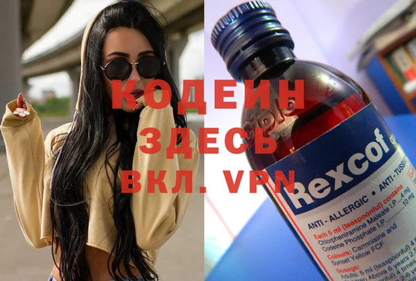 не бодяженный Алексин