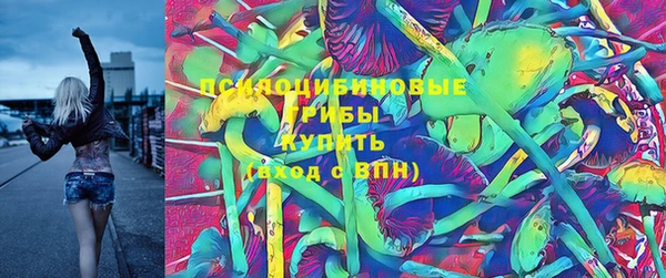 не бодяженный Алексин