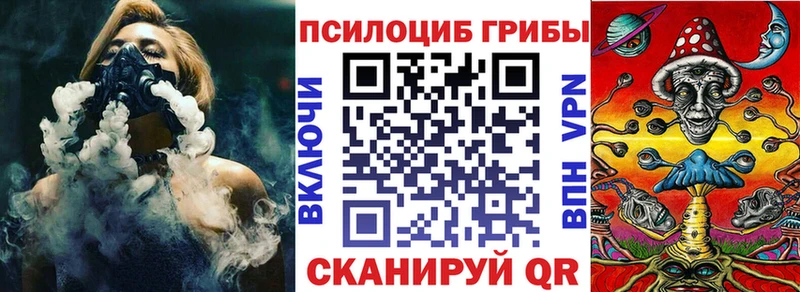 Купить где Куровское Галлюциногенные грибы GOLDEN TEACHER